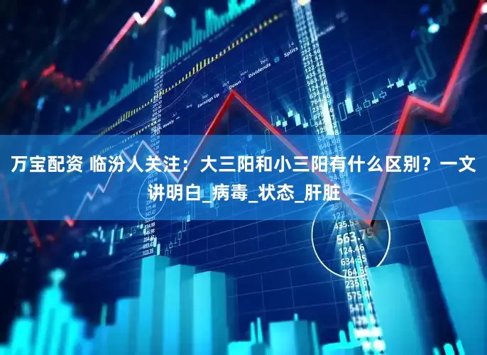 万宝配资 临汾人关注：大三阳和小三阳有什么区别？一文讲明白_病毒_状态_肝脏