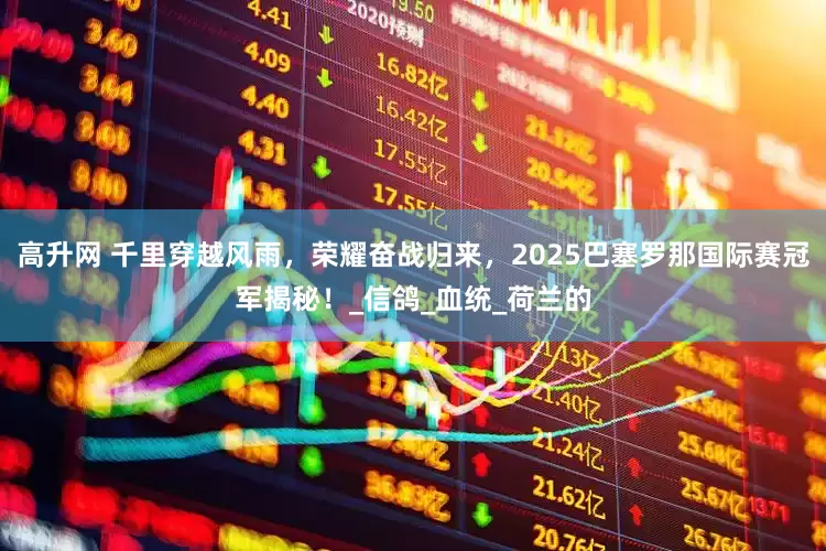 高升网 千里穿越风雨，荣耀奋战归来，2025巴塞罗那国际赛冠军揭秘！_信鸽_血统_荷兰的